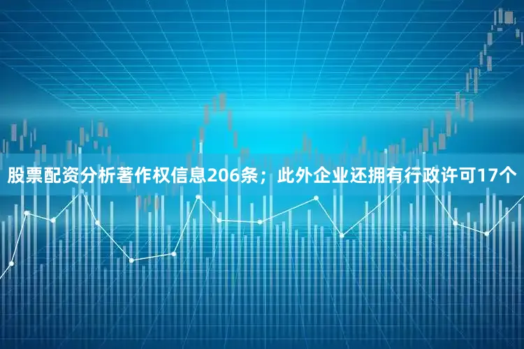 股票配资分析著作权信息206条；此外企业还拥有行政许可17个
